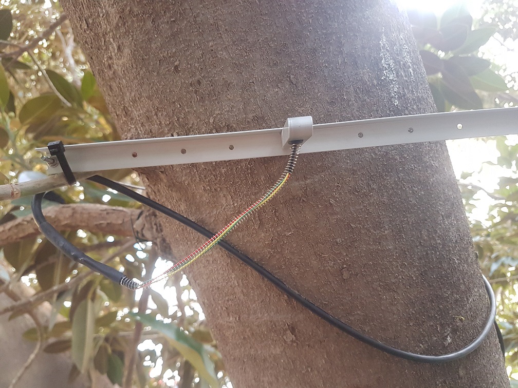 Sensores Ficus Floridablanca syscomed